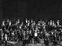 The San Antonio Symphony Is Dead, But Its Musicians Will Keep Giving Concerts