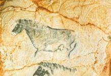 As Climate Change Destroys Paleolithic Cave Art, France Opens A Museum Of Reproductions