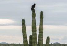 Two Cast Members Of Netflix’s The Chosen Ones Die In A Crash Near Their Set