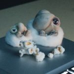Marcel The Shell, YouTube, And Internet Fame