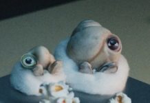 Marcel The Shell, YouTube, And Internet Fame