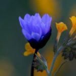 Your Brain Is Begging You: Please Slow Down!