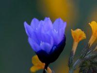 Your Brain Is Begging You: Please Slow Down!