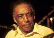 How Geoff Dyer Fell In Love With The Blues