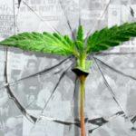 Dahlia Lithwick: On Hopefulness In A Broken World