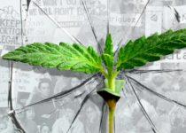 Dahlia Lithwick: On Hopefulness In A Broken World