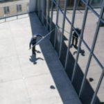 Survey: What Artists American Museums Show