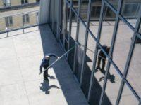 Survey: What Artists American Museums Show