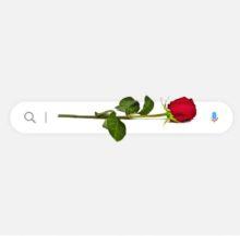 The Whispers Are Growing: Google Search Is Broken