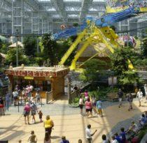 Apocalypse Not: The American Mall Cannot Be Killed