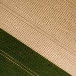 Cleaning Up Messy Ideas Results In Stale Monocultures