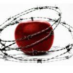 What COVID School Closures Really Cost Students