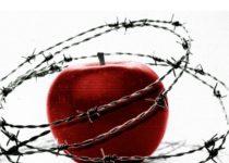 What COVID School Closures Really Cost Students