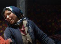 The Most Multi-Lingual Place On Earth (With Culture To Match)