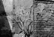 Lost Masters? John Mauceri’s “War On Music”