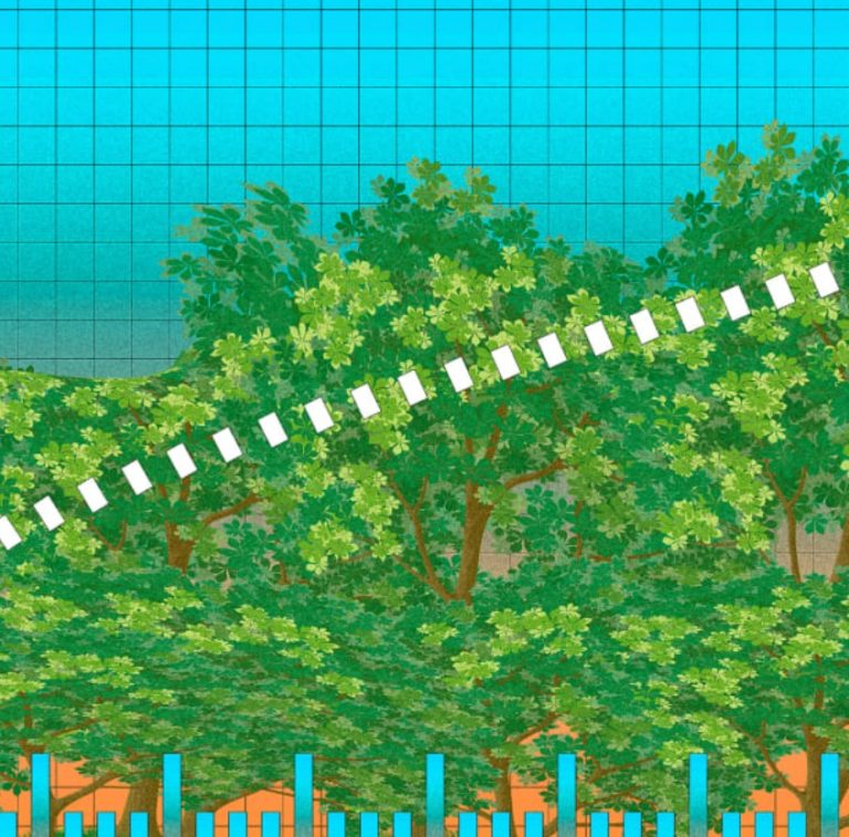 Report: 36 Countries Have More Trees Now Than They Did In 2000