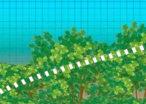 Report: 36 Countries Have More Trees Now Than They Did In 2000