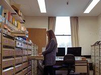 An Arvo With The Battlers Working On The Australian National Dictionary