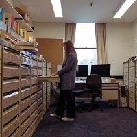 An Arvo With The Battlers Working On The Australian National Dictionary