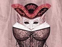 The Enlightenment Libertine: Making Sense Of Casanova