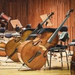 South Africa’s Arts Minister Announced A New National Orchestra. People There Are Very Angry About It