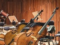 South Africa’s Arts Minister Announced A New National Orchestra. People There Are Very Angry About It