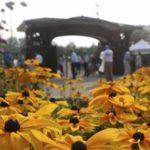 In Response To Highland Park Shooting, Ravinia Festival Cancels This Week’s Concerts