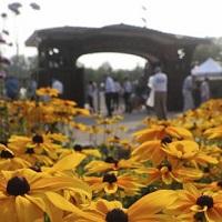 In Response To Highland Park Shooting, Ravinia Festival Cancels This Week’s Concerts