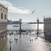 Can Venice Be Saved From Flooding Without Wrecking The Ecosystem Around It?