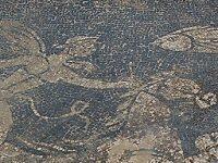 A Sizeable Roman City, Unknown Until Now, Has Been Discovered Near The Spanish Pyrenees