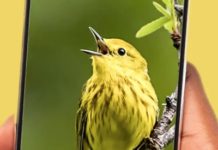 Are Those Identification Apps Good For Anything But Music – And Big Databases?