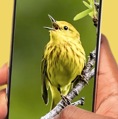 Are Those Identification Apps Good For Anything But Music – And Big Databases?