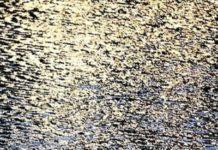 The Shimmers That Bring Fiction To Light