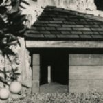 Frank Lloyd Wright’s Only Doghouse