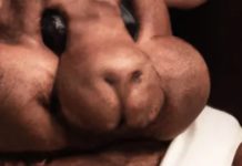 Artificial Intelligence Can’t Make Art Without Humans To Provide The Spark