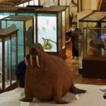 The Art Fund’s Museum Of The Year Completely Reconfigured Itself During The Pandemic
