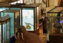 The Art Fund’s Museum Of The Year Completely Reconfigured Itself During The Pandemic