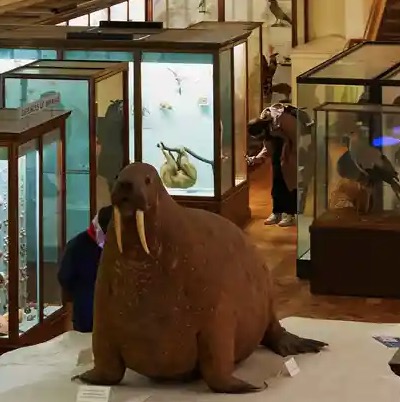 The Art Fund’s Museum Of The Year Completely Reconfigured Itself During The Pandemic