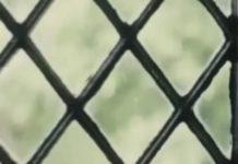 The Rise Of The Messy-Haired, Self-Hating Sarcasm Machine