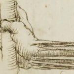 The Grisly Way Leonardo Learned The Beauties Of Human Anatomy