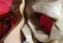 Farewell, California Institute Of Abnormal Arts