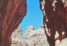 Artists, Access, And Authority