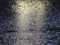 Why Do Writers Write?