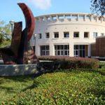 More Basquiat Scandal Fallout: Orlando Museum’s Interim Director Resigns After Seven Weeks