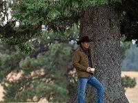 A Conservative Version Of Prestige TV? Considering “Yellowstone”