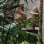 Architectural Digest Airbrushed Cambodian Antiquities Out Of One Of Their Fabulous-Home Photo-Spreads — And Why?
