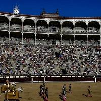Bullfighting Is Fading Away In Spain.&nbsp; So How Can They Repurpose All The Bullrings?
