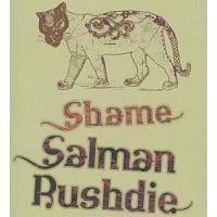 I Walked Into A Pakistani Bookstore And Asked For Salman Rushdie’s Novels
