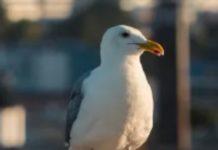 Film Can Change Minds About Anything