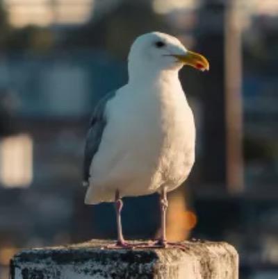 Film Can Change Minds About Anything